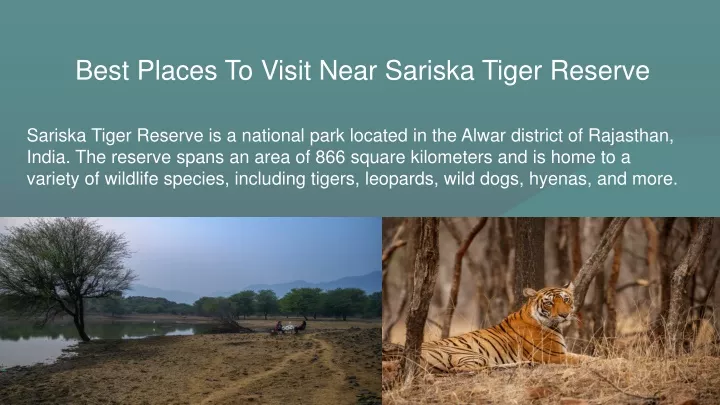 best places to visit near sariska tiger reserve