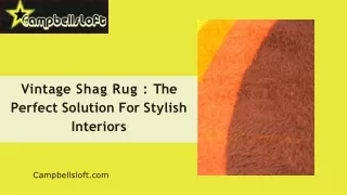 Vintage Shag Rug : The Perfect Solution For Stylish Interiors