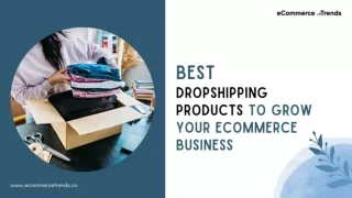 Best Dropshipping Products To Grow Your Ecommerce Business