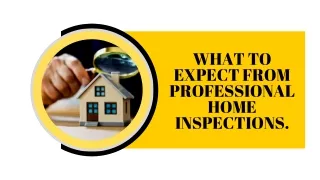 WHAT TO EXPECT FROM PROFESSIONAL HOME INSPECTIONS.