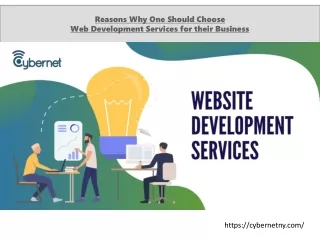 Reasons Why One Should Choose Web Development Services for their Business
