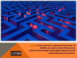 Cybersecurity Solutions - VOROR