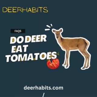 Deer Habits