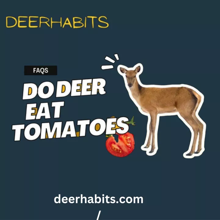 deerhabits com