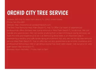 Orchid City Tree Service