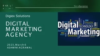 Digital Marketing Agency | Wordpress Website | Online Business Advertisement