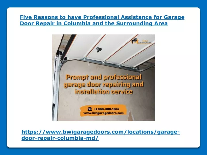 five reasons to have professional assistance