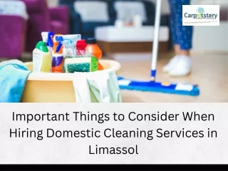 Important Things to Consider When Hiring Domestic Cleaning Services in Limassol