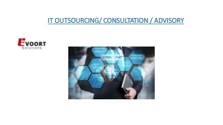 IT OUTSOURCING/ CONSULTATION / ADVISORY