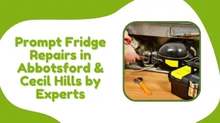 Prompt Fridge Repairs in Abbotsford & Cecil Hills by Experts