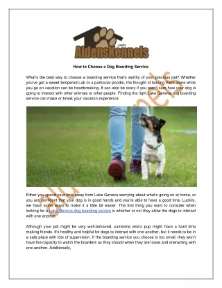How to Choose a Dog Boarding Service