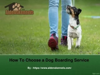 How to Choose a Dog Boarding Service