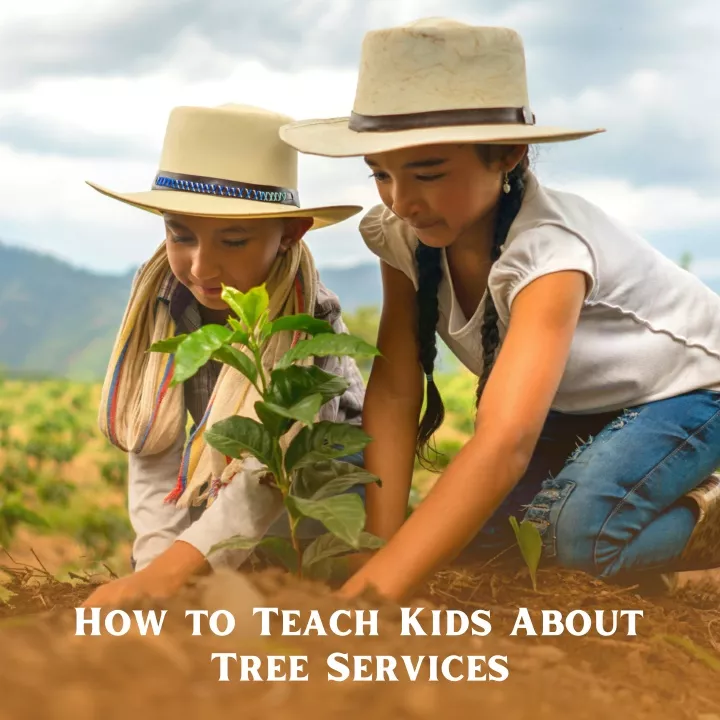 how to teach kids about tree services