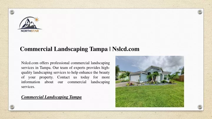 commercial landscaping tampa nslcd com
