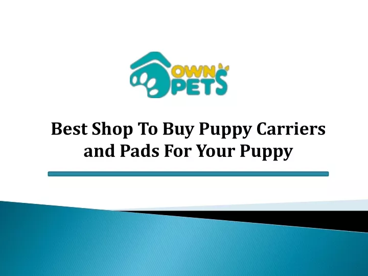 best shop to buy puppy carriers and pads for your