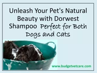 Dorwest Shampoo Perfect for Both Dogs and Cats