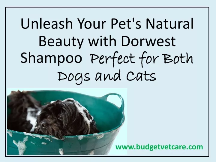 unleash your pet s natural beauty with dorwest