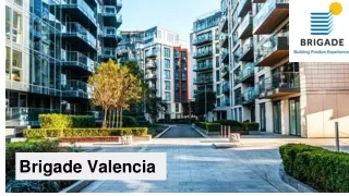 brigade valencia
