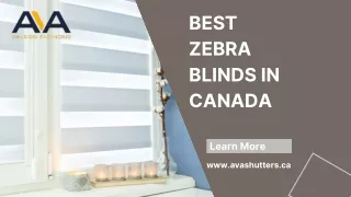 Best  Zebra Blinds In Canada