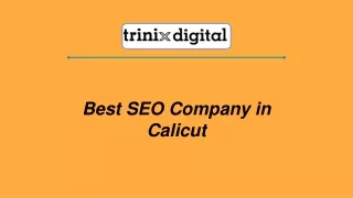 best seo company in calicut