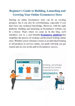 Beginner's Guide to Building, Launching and Growing Your Online Ecommerce Store