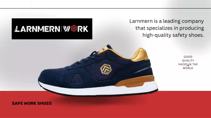 larnmern is a leading company that specializes