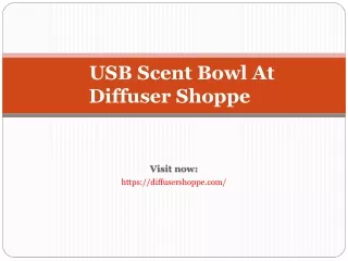 usb scent bowl at diffuser shoppe