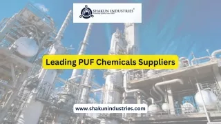 Discover the Best PUF Chemicals Suppliers for Your Business Needs!