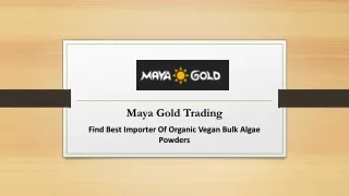 Buy Bulk Avocado Oil From Maya Gold Trading