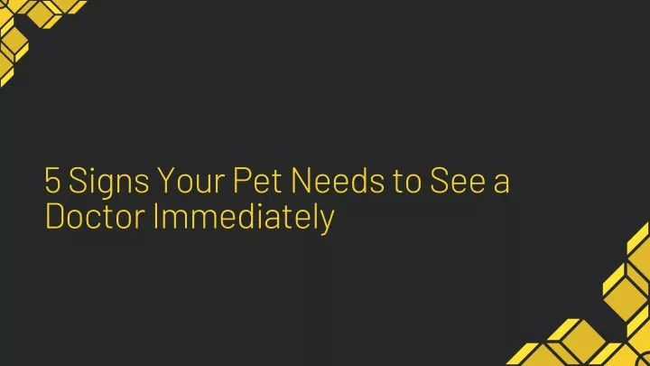 5 signs your pet needs to see a doctor immediately