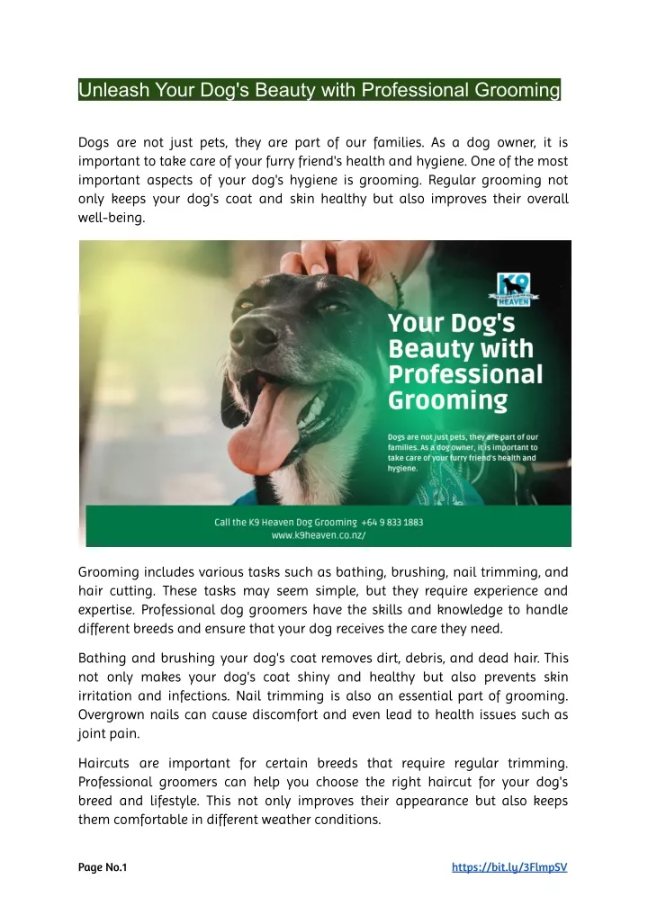 unleash your dog s beauty with professional