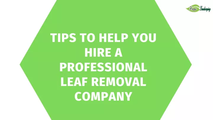 tips to help you hire a professional leaf removal