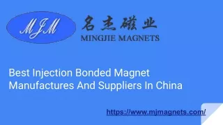 Purchase Now - Injection Molded Magnet in china