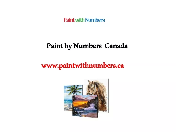 paint by numbers canada