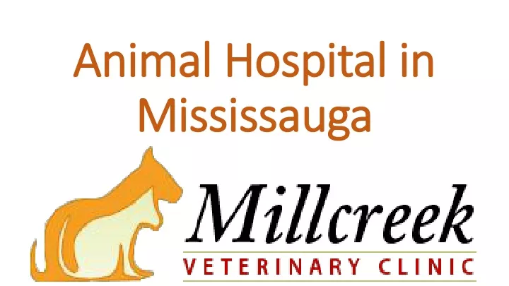 animal hospital in mississauga