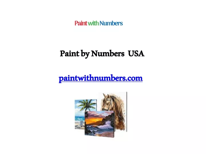 paint by numbers usa