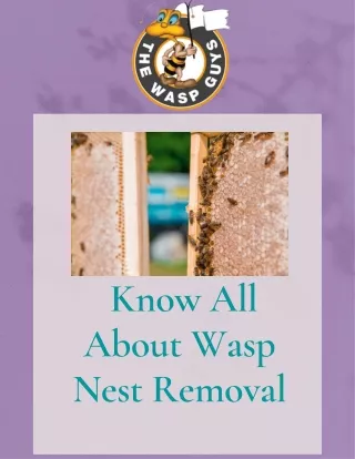 _Know All About Wasp Nest Removal