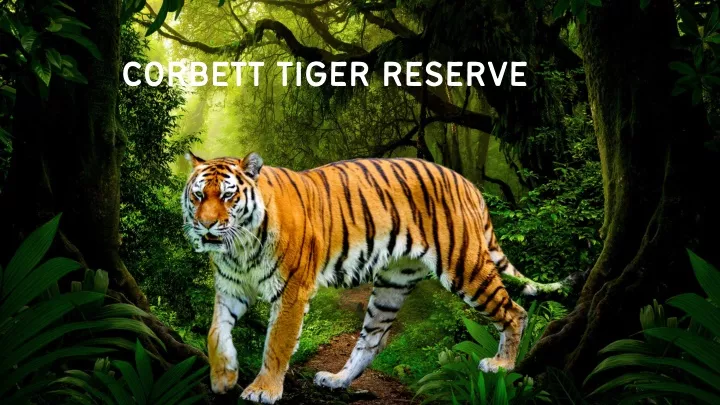 corbett tiger reserve