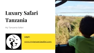 Luxury Safari Tanzania