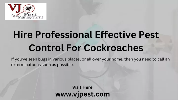 hire professional effective pest control