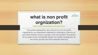 what is non profit orgnization https www lotuspetalusa org ngo in usa