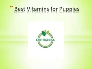 best vitamins for puppies