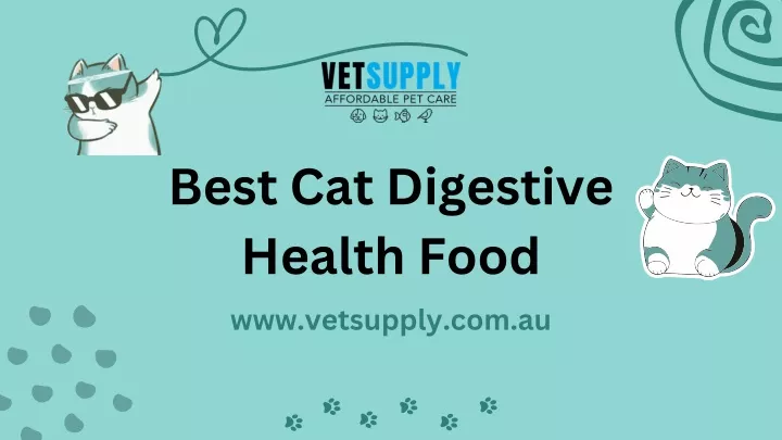 best cat digestive health food www vetsup