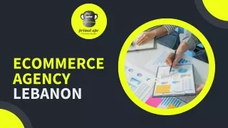 The Best E-commerce Agency in Lebanon | Primalapeconsulting
