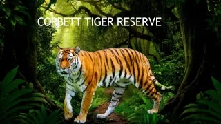 Corbett Tiger Reserve