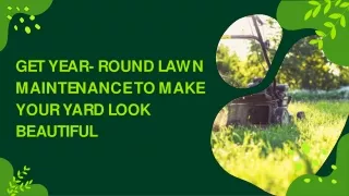Get Year-Round Lawn Maintenance To Make Your Yard Look Beautiful