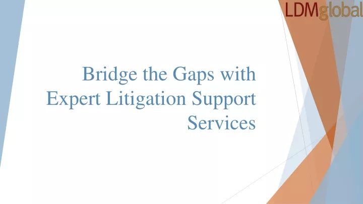 bridge the gaps with expert litigation support services