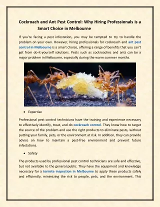 Cockroach and Ant Pest Control Why Hiring Professionals is a Smart Choice in Melbourne