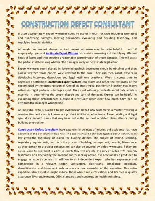 Construction Defect Consultant