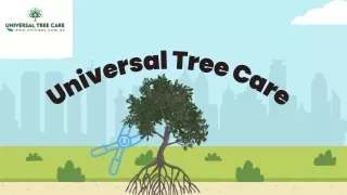 Call Universal Tree Care for Emergency Tree Removal in Sydney